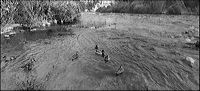 canards-sur-ardeche