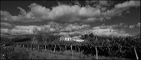 petite_maison_de_campagne