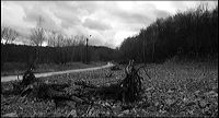 apokalyptesch