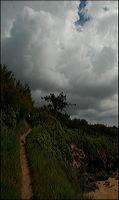 dsc_7247