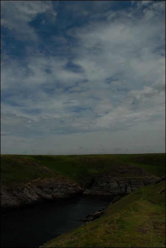 dsc_7104.jpg