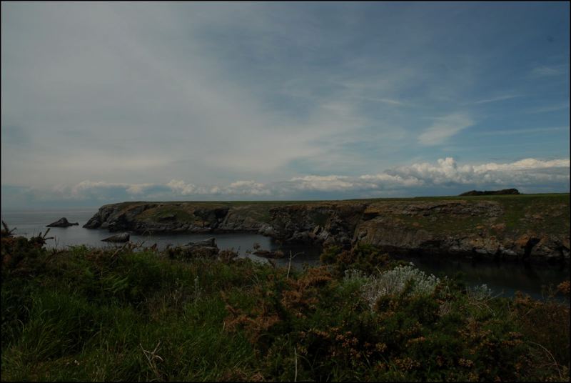 dsc_7124.jpg