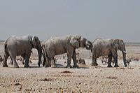 carte2_0707r