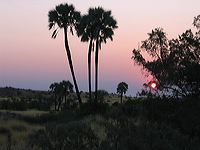 img_1555