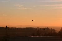 img_0823