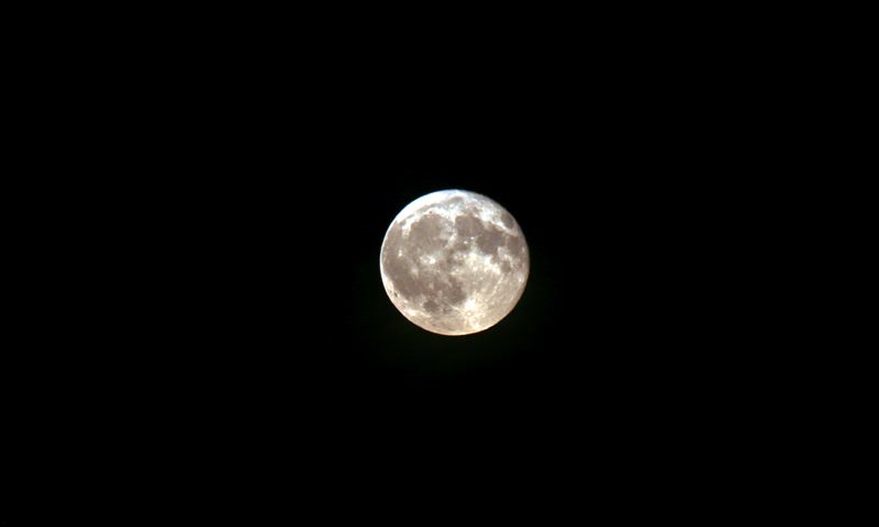 img_7018.jpg