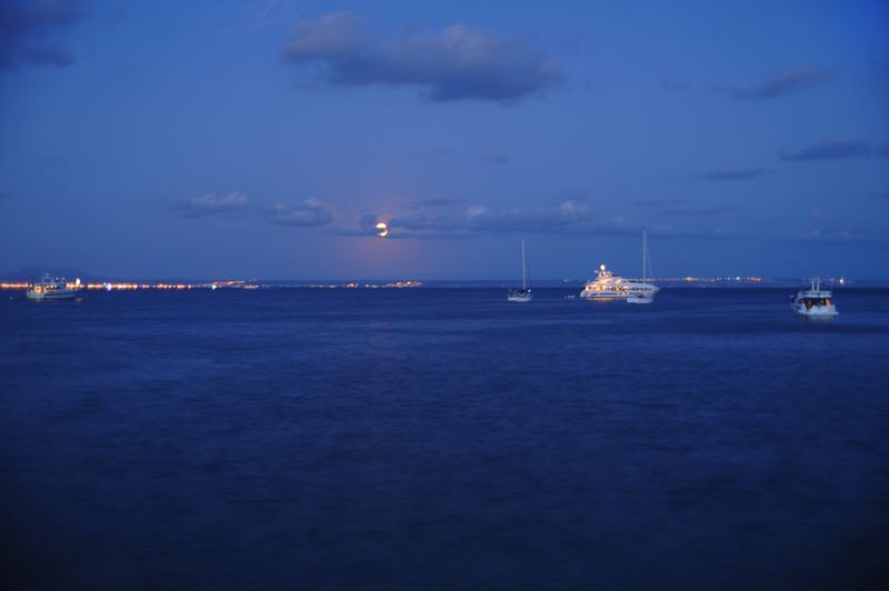 dsc_3191.jpg