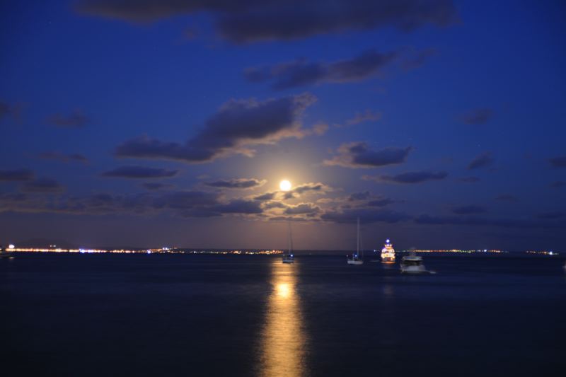 dsc_3211.jpg