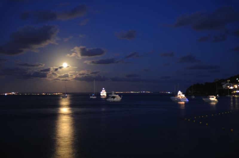 dsc_3213.jpg