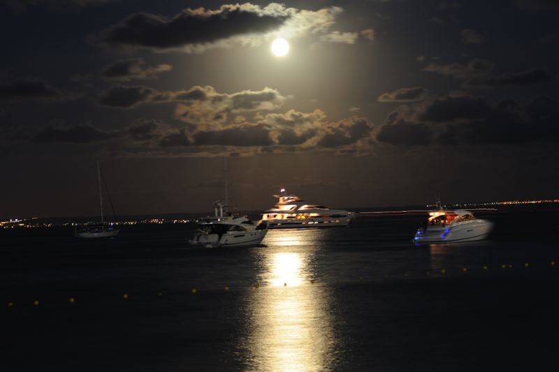 dsc_3220.jpg