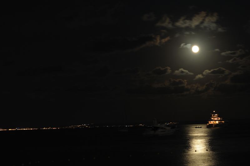 dsc_3223.jpg