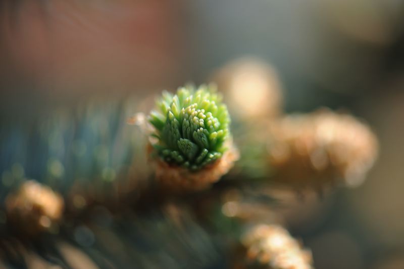 dsc_6356.jpg
