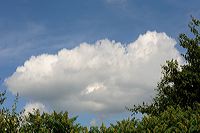 dsc_6755
