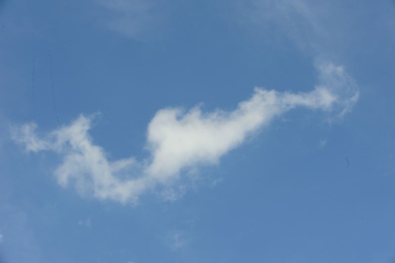 dsc_6749.jpg