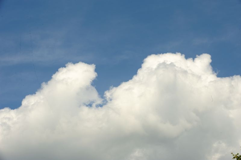 dsc_6750.jpg