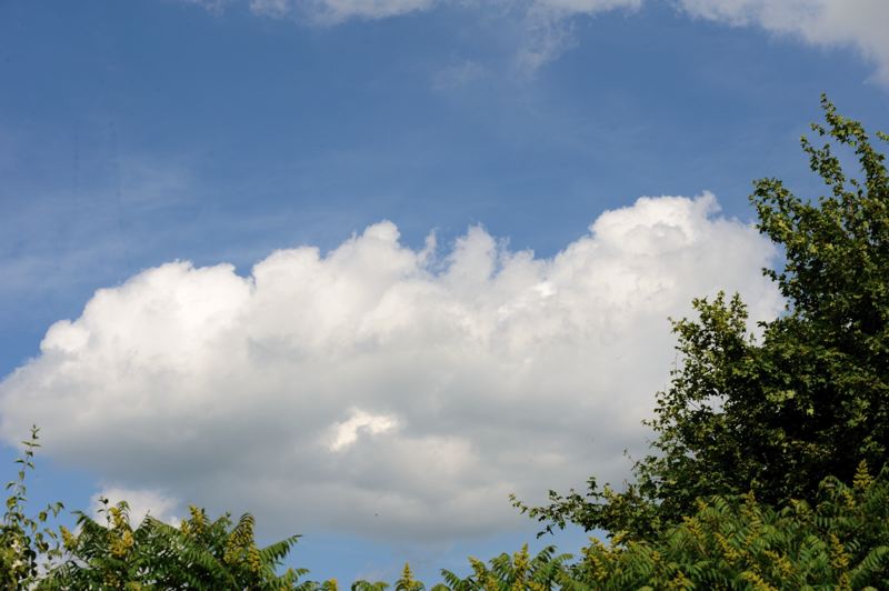 dsc_6757.jpg