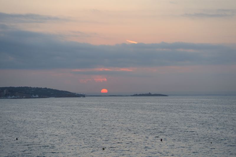 dsc_2604.jpg