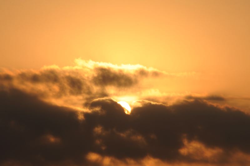 dsc_2658.jpg