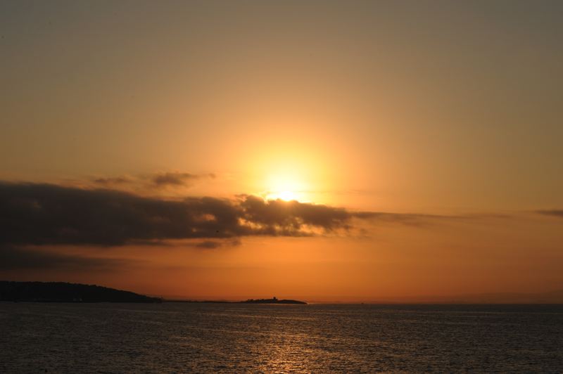 dsc_2664.jpg