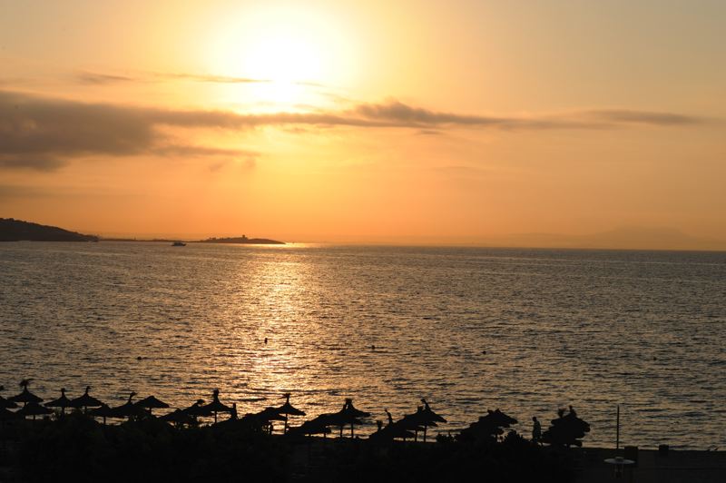 dsc_2677.jpg
