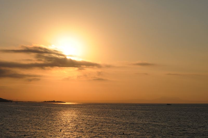 dsc_2684.jpg
