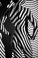 black___white_170330_125