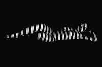 black___white_170330_152