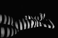 black___white_170330_154