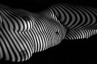 black___white_170330_174