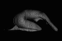 black___white_170330_187