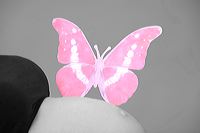 catia_c_160117_095