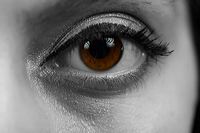 filsoph_140209_063
