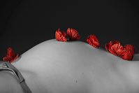 laurene-111217-0758a