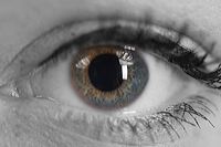 leyla_170413_153