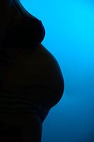 morgane_c_140708_082