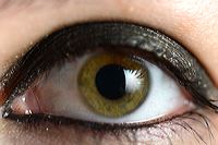 san_brit_121122_3117