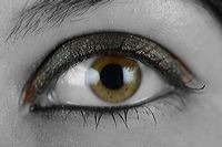 san_brit_121122_3118