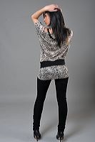 dsd_4052
