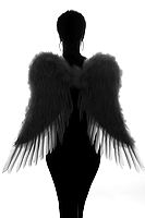 suely_171212_125