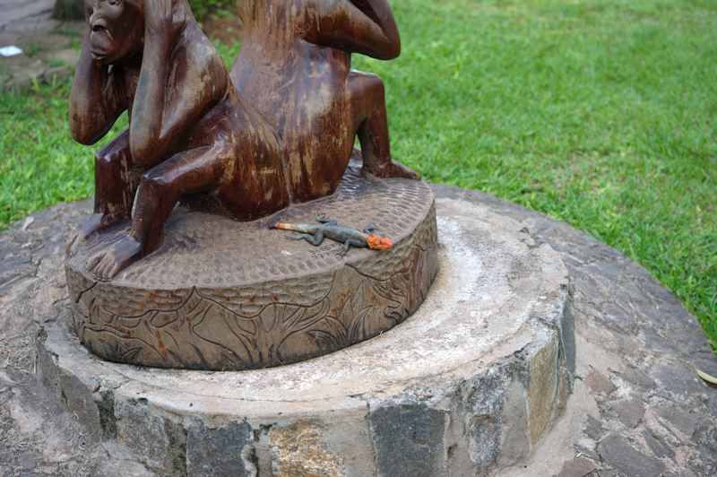dsd_5148.jpg