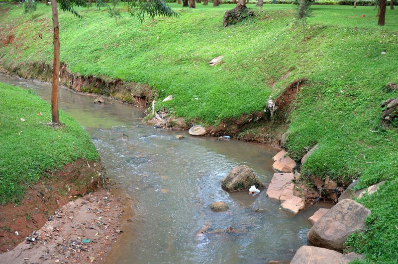 dsd_5156.jpg