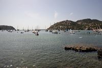 dsc_3002