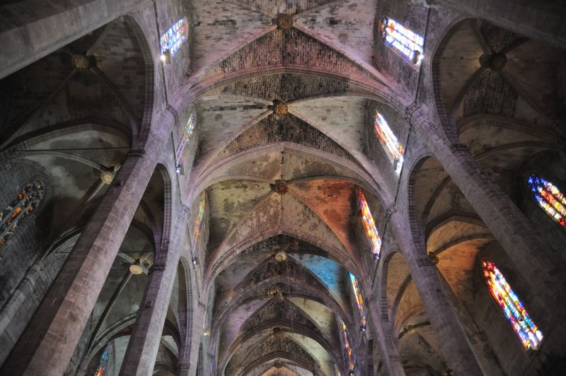dsc_2937.jpg