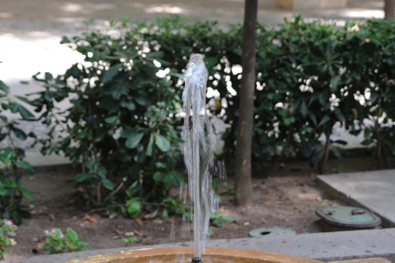 dsc_2978.jpg