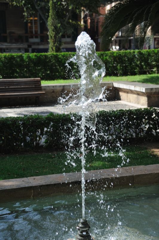 dsc_2983.jpg