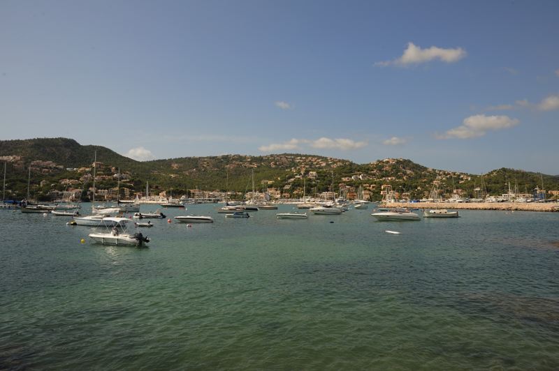 dsc_3000.jpg