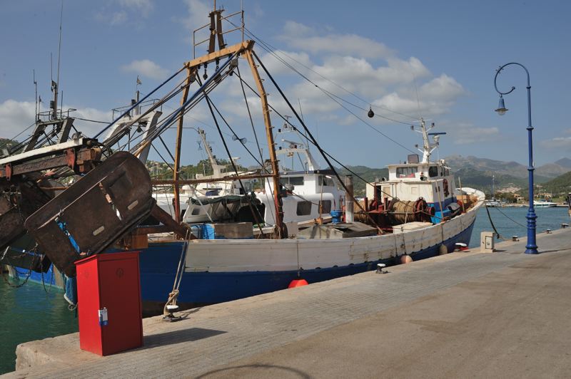 dsc_3011.jpg