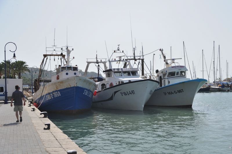 dsc_3017.jpg