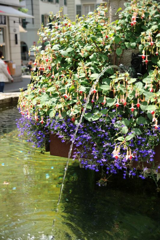 dsc_1636.jpg