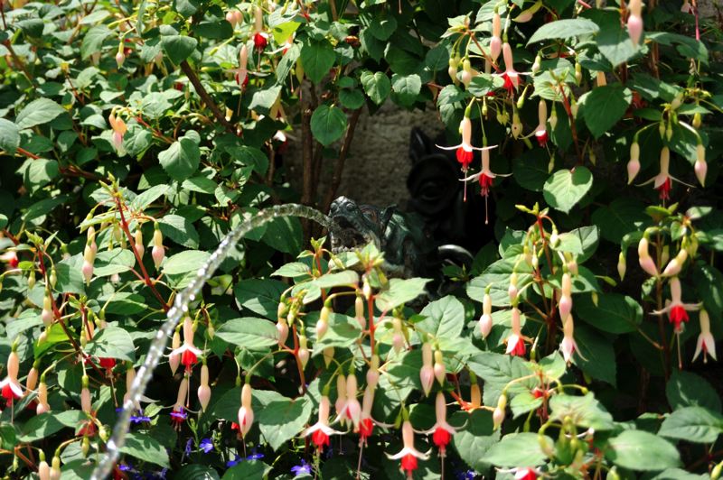 dsc_1638.jpg